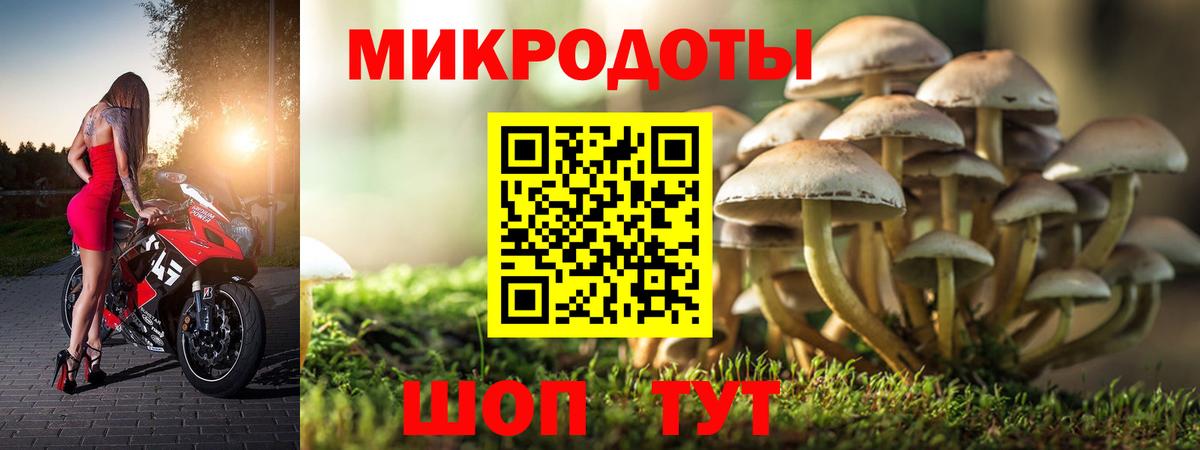 Псилоцибиновые грибы Magic Shrooms  Вход с VPN  Щёкино 